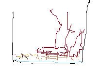 米の研ぎ方